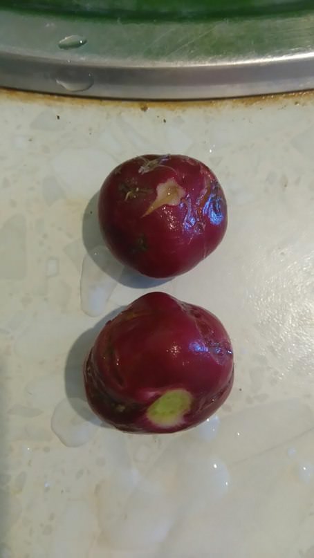 Почему редиска такая кривая, и червяком каким-то изъедена