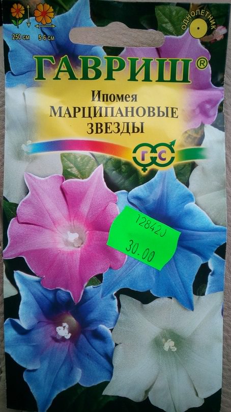 Как выращивать ипомею