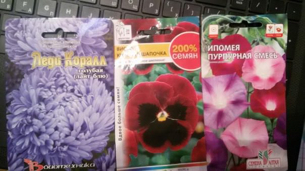 Как вырастить эти цветы (астра "Леди Коралл" , виола, ипомея)