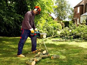 Бензопила: какую марку выбрать