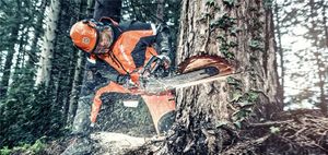 Сегодня на полках специализированных магазинов представлен большой выбор инструмента