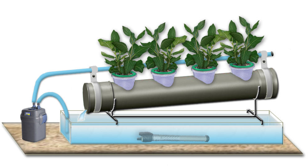 Гидропонная установка для выращивания зелени своими руками: схема, устройство, раствор