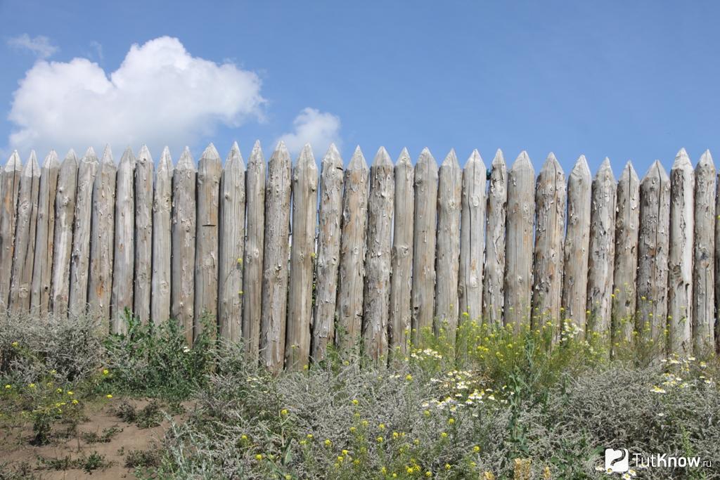 Забор-частокол: особенности, преимущества, недостатки, как сделать .