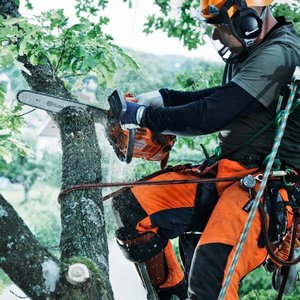 Пиление деревьев