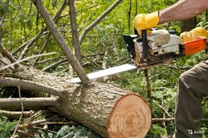 Правила распиливания