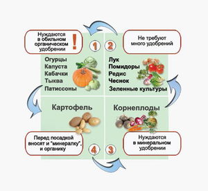 Схема чередования культур в севообороте в поле в таблице