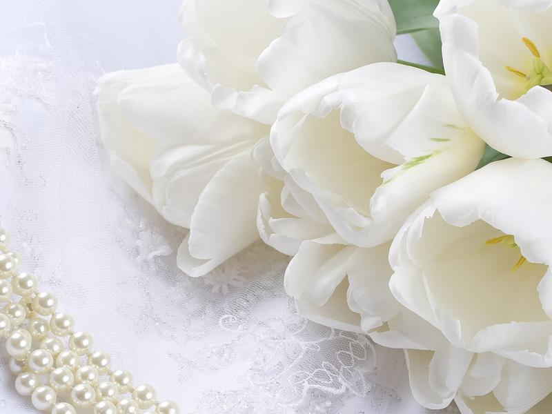 Весение болоцветы