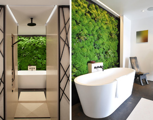 Как правильно провести озеленение