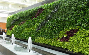 Озеленение вертикальное