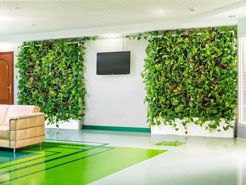 Посадка вертикального сада Вертикальная посадка растений