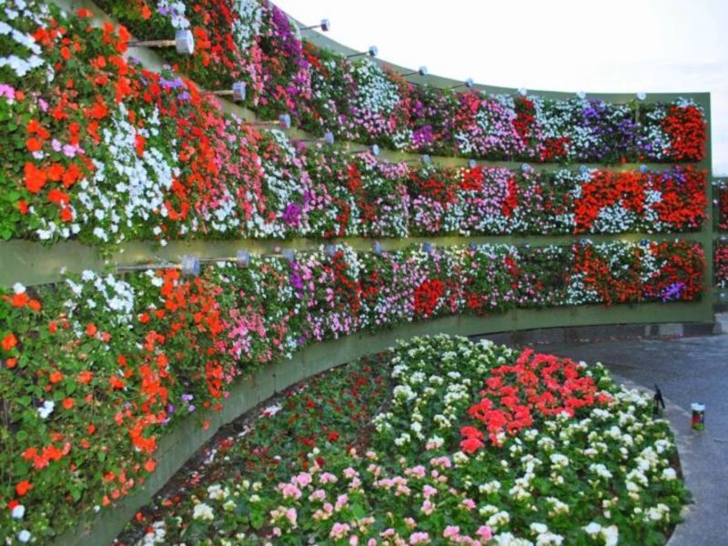 Современный вид озеленения Как провести озеленение сада