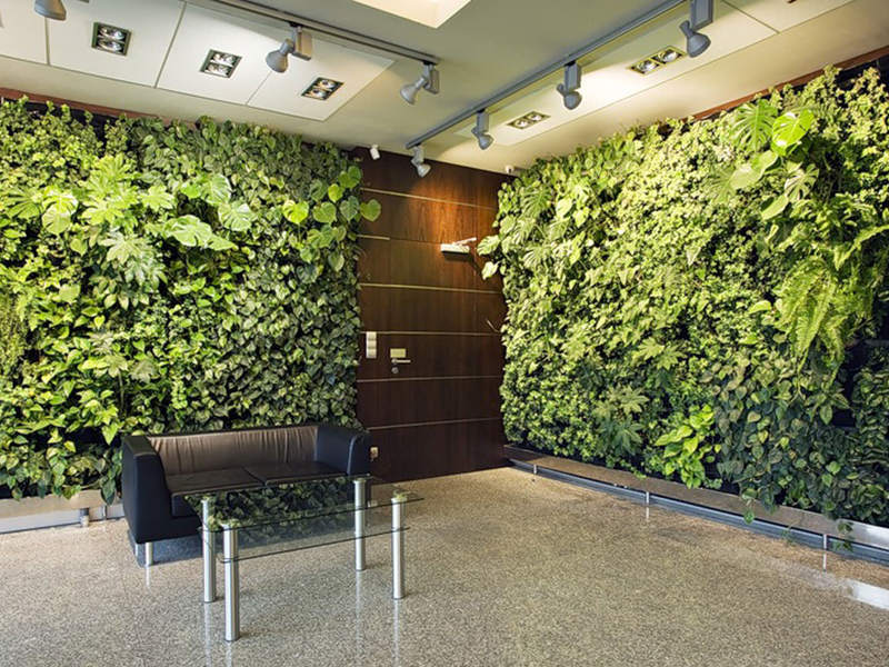 Способы выращивания растений Как правильно выбрать сорта растений