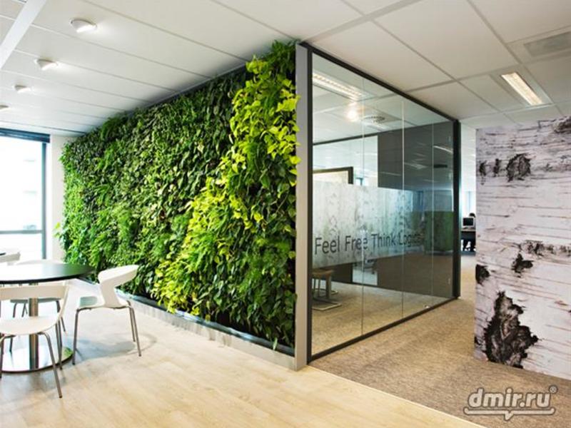 Вертикальный сад дома Какие растения посадить вертикально