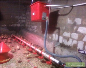 Из чего сделать поилку Поилки своими руками из пластика