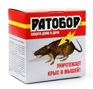 Откуда появились грызуны Как бороться с мышами