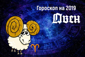 Прогнозы на 2019 год