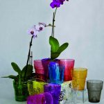 Горшки для орхидей: характеристика видов и критерии выбора