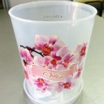 Горшки для орхидей: характеристика видов и критерии выбора