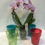 Горшки для орхидей: характеристика видов и критерии выбора