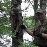 Гриб чага: характеристика, полезные свойства и противопоказания