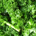 Капуста «Кале»: описание, сорта и правила выращивания