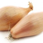 Лук-шалот: выбор сорта и правила выращивания