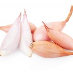 Лук-шалот: выбор сорта и правила выращивания