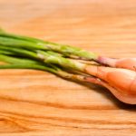 Лук-шалот: выбор сорта и правила выращивания