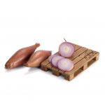 Лук-шалот: выбор сорта и правила выращивания