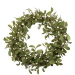 Омела белая: лечебные свойства и применение в медицине растения-паразита