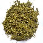 Омела белая: лечебные свойства и применение в медицине растения-паразита