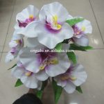 Особенности ухода за изысканной орхидеей Каттлея