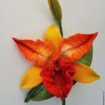 Особенности ухода за изысканной орхидеей Каттлея