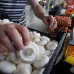 Как выглядят шампиньоны под шляпкой. Смотреть фото Как выглядят шампиньоны под шляпкой. Смотреть картинку Как выглядят шампиньоны под шляпкой. Картинка про Как выглядят шампиньоны под шляпкой. Фото Как выглядят шампиньоны под шляпкой