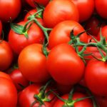 Томаты сорта Интуиция: характеристика и правила выращивания