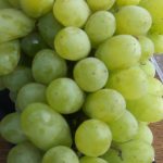 Виноград «Лора»: перспективный и надежный сорт