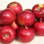 Яблоня «Орлик»: технология культивирования и достоинства сорта