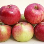 Яблоня «Орлик»: технология культивирования и достоинства сорта