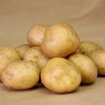 Особенности культивирования высокоурожайного картофеля «Гала»