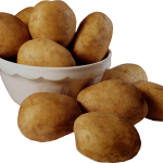 Особенности культивирования высокоурожайного картофеля «Гала»