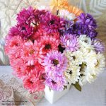 Как вырастить маргаритки на приусадебном участке