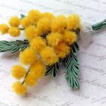 Лучшие сорта и особенности агротехники тропической мимозы