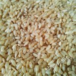 Где и как выращивают рис