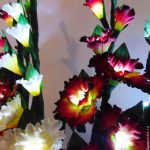 Гладиолусы: выбор сорта, посадка и уход