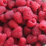 Малина Гусар: описание сорта, выращивание и уход, отзывы садоводов