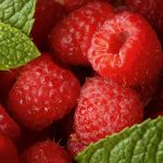 Малина Гусар: описание сорта, выращивание и уход, отзывы садоводов