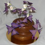 Оксалис (кислица): секреты ухода в домашних условиях и саду