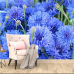 Васильки - одно из самых красивых растений в вашем саду