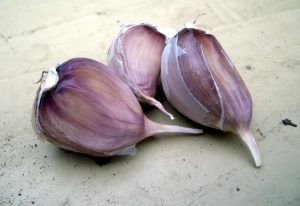 Как вырастить хороший урожай озимого чеснока?