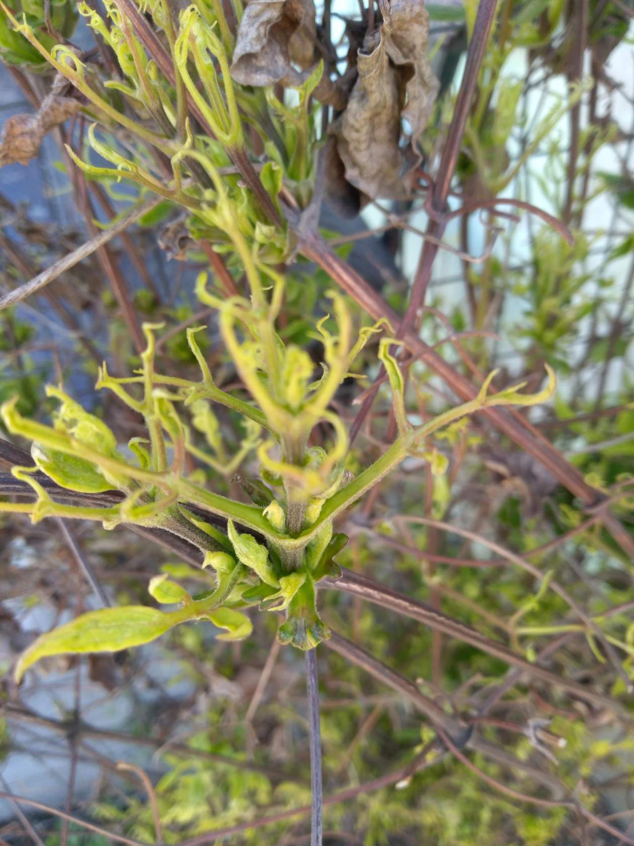 image-2019-05-09 20_14_32